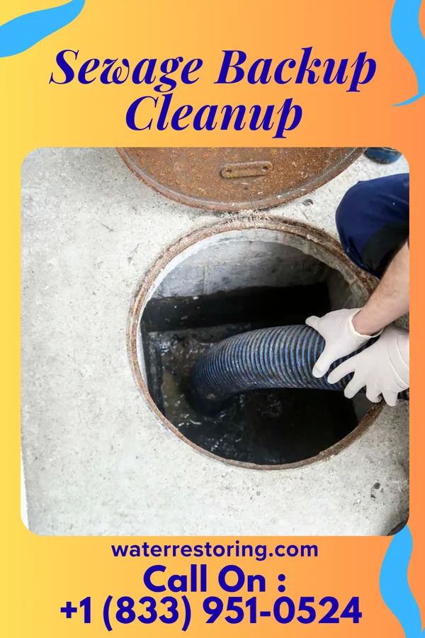 Sewage Backup Cleanup in Concord, AR