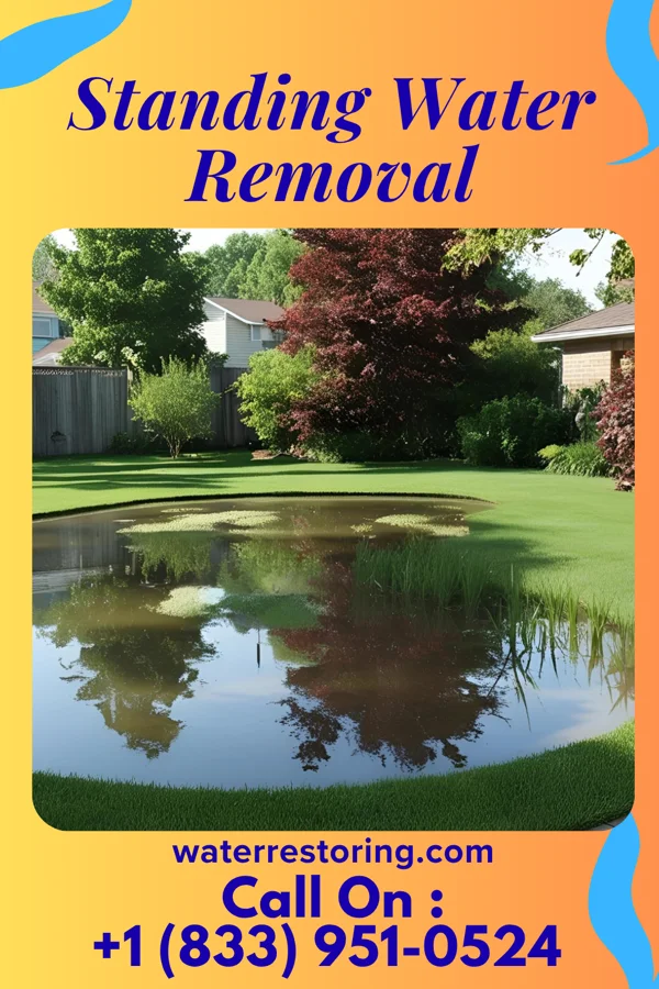 Standing Water Removal in Concord, AR